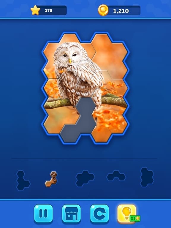 Hexa Jigsaw Challenge screenshot 3