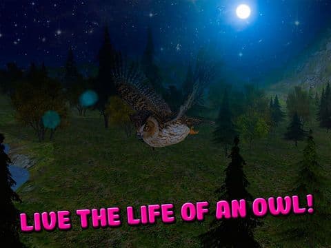 Owl Bird Survival Simulator 3D Free screenshot 2
