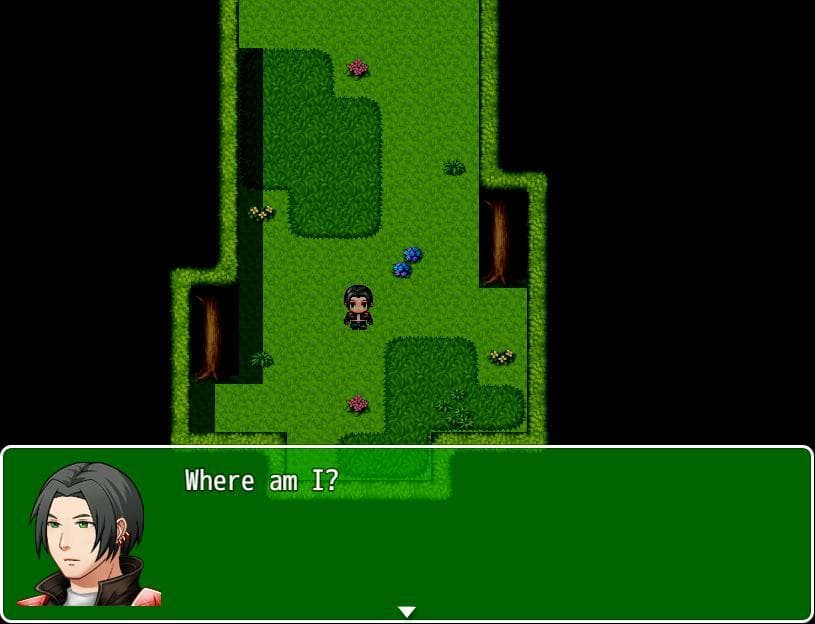 Lost in the Woods screenshot 2