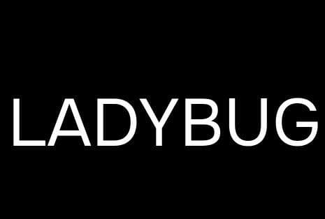 LADYBUG THE SLAYER