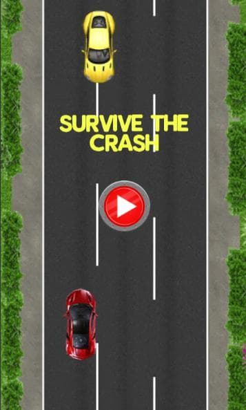 SURVIVE THE CRASH