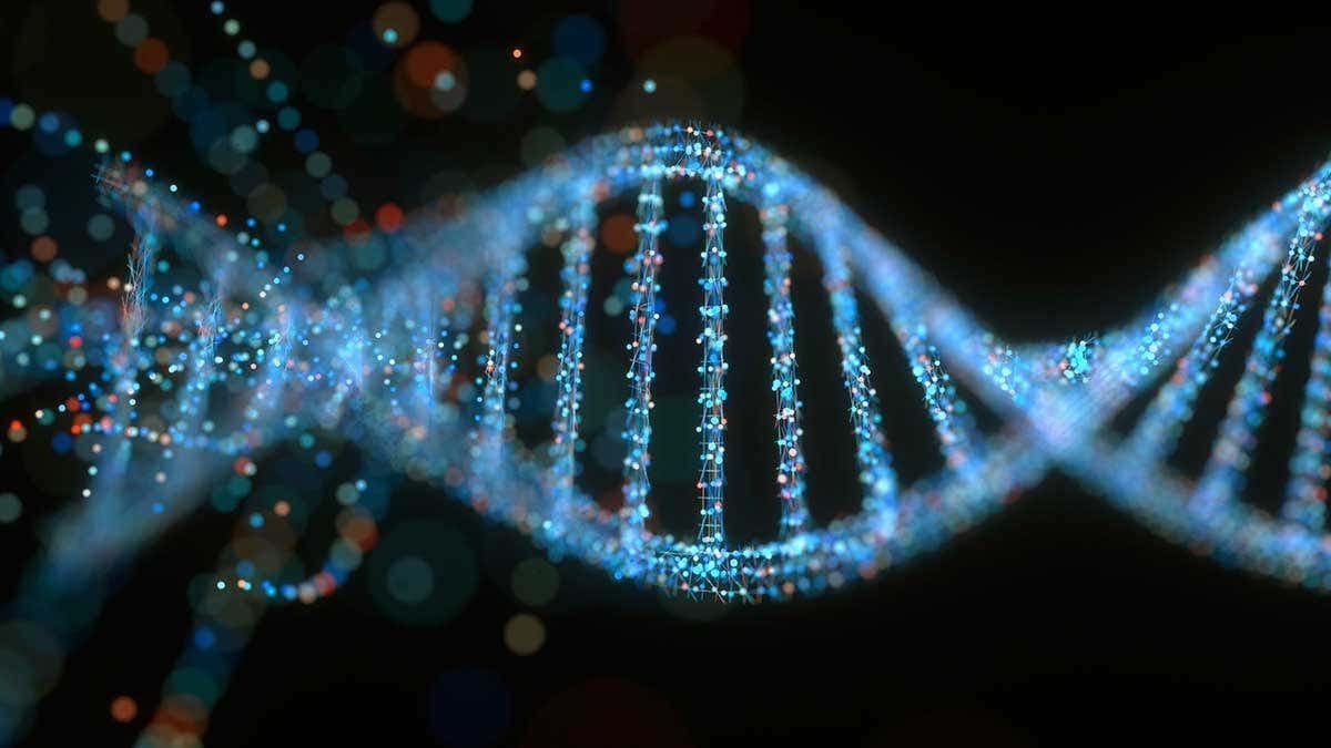 DNA Project AP Bio