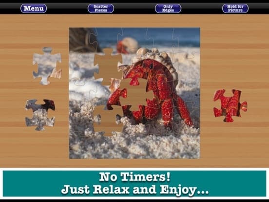 Totally Fun Jigsaw Puzzles screenshot 4