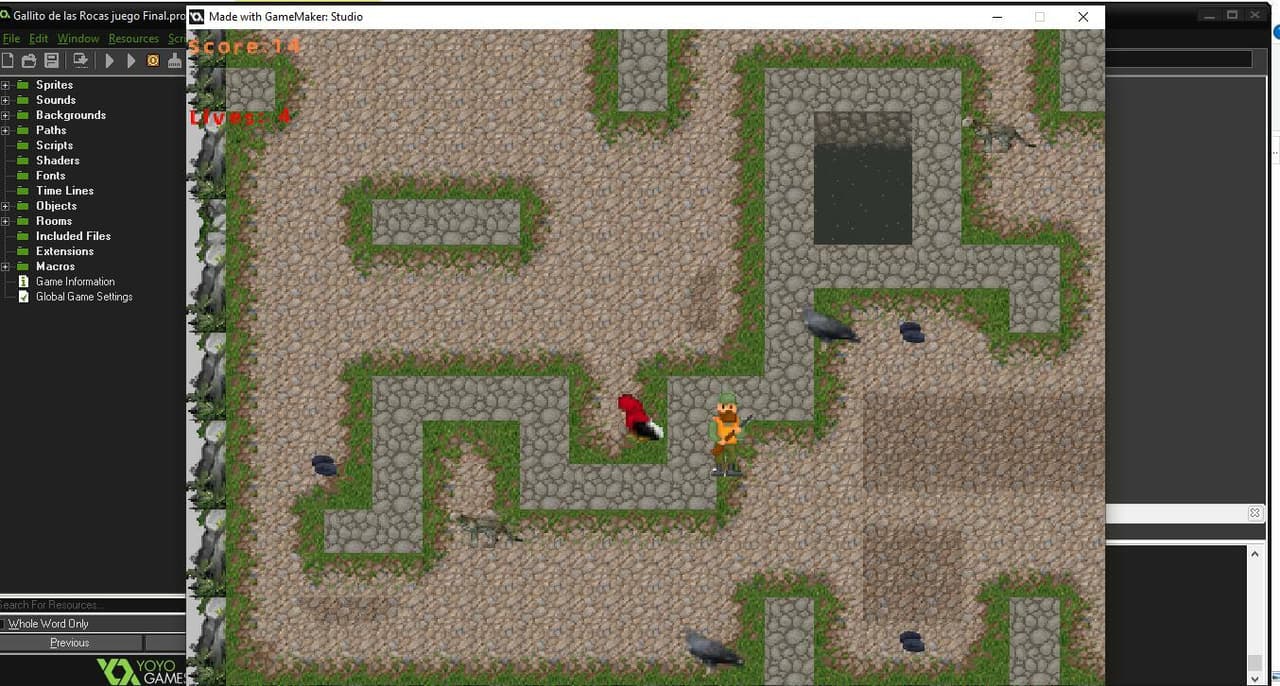 Gallito de las Rocas scape