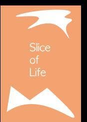 Slice of Life (itch) (Tungus)