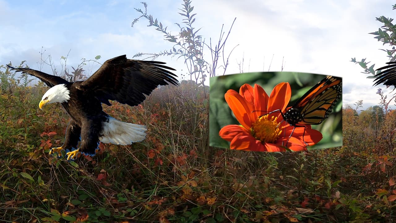 Migration VR screenshot 4