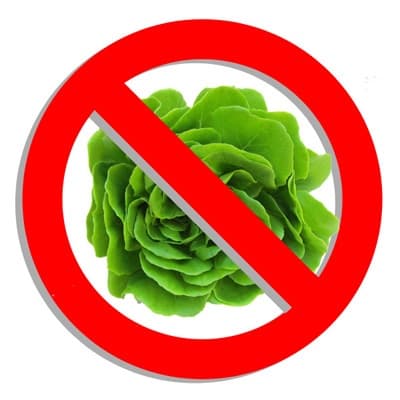 Vegans are not welcome