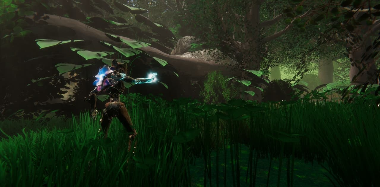 A Butterfly Quest
