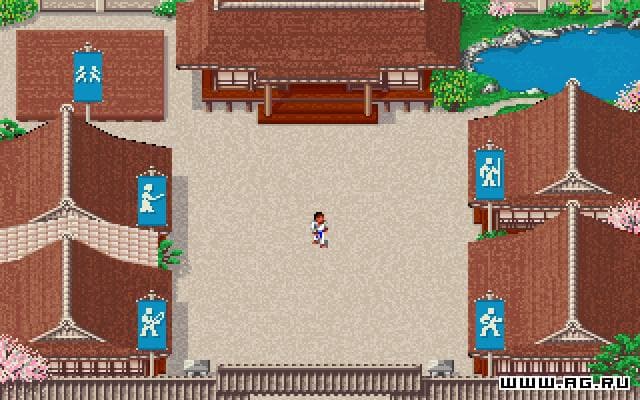 Budokan: The Martial Spirit screenshot 5