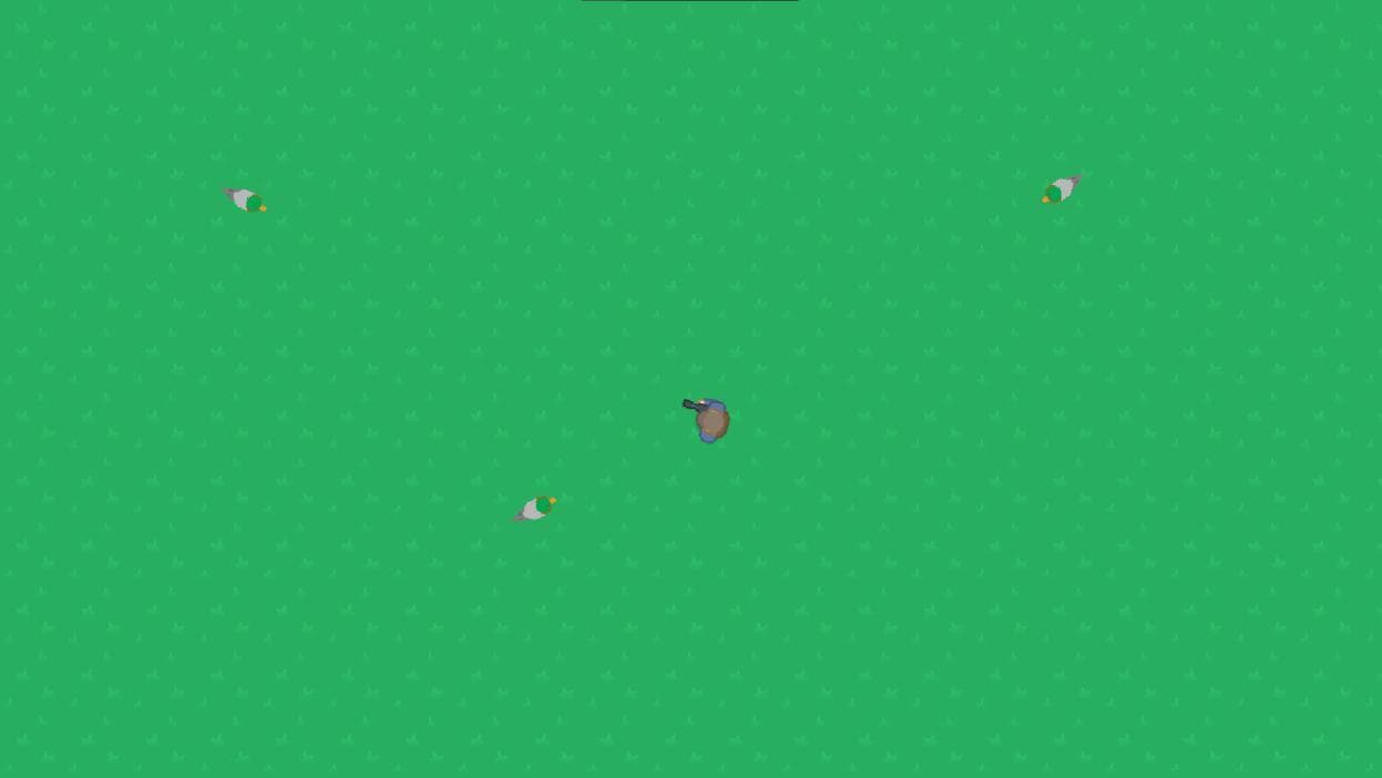 Invasion des Canards