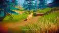 The Lost Doggy