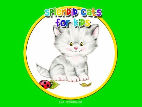 splendid cats for kids - free screenshot 2