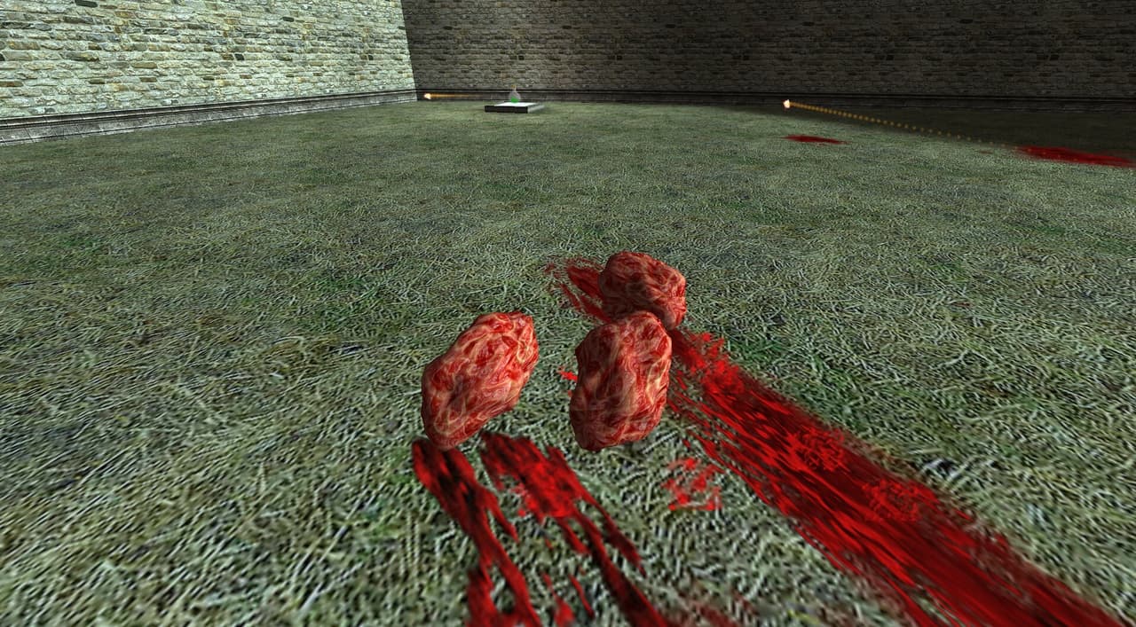 HQ Flesh / Gibs screenshot 5