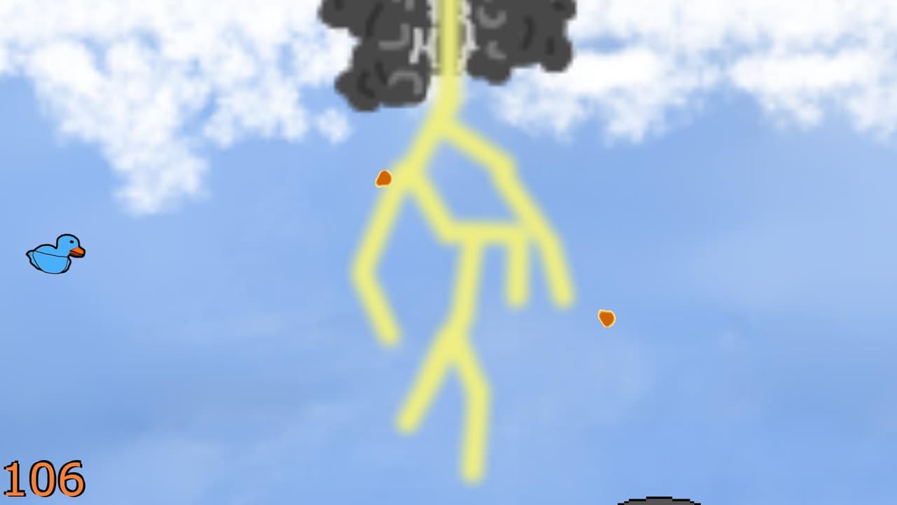 Call of Birdy