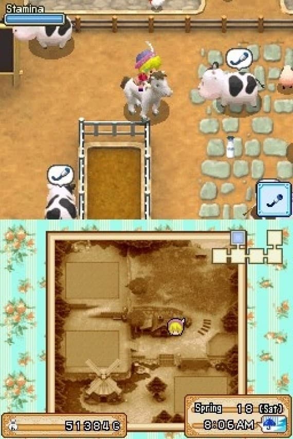 Harvest Moon DS: Grand Bazaar screenshot 3