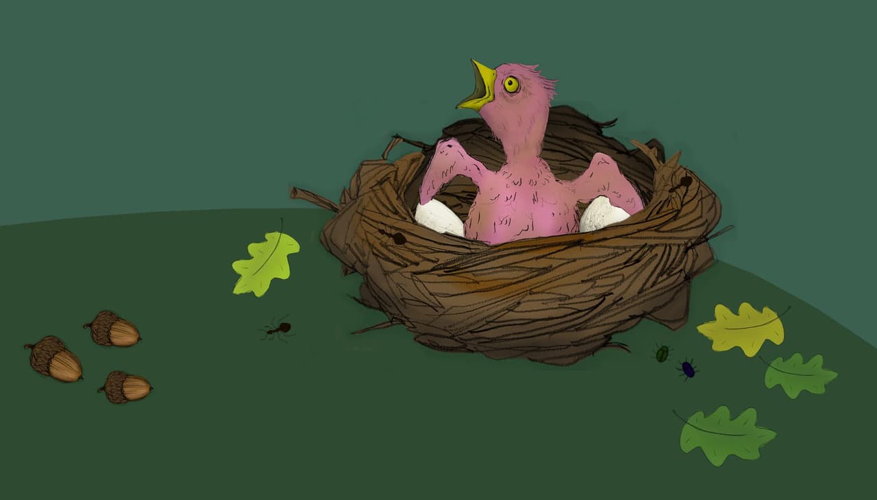 Hungry Bird (Johan Helsing) screenshot 2