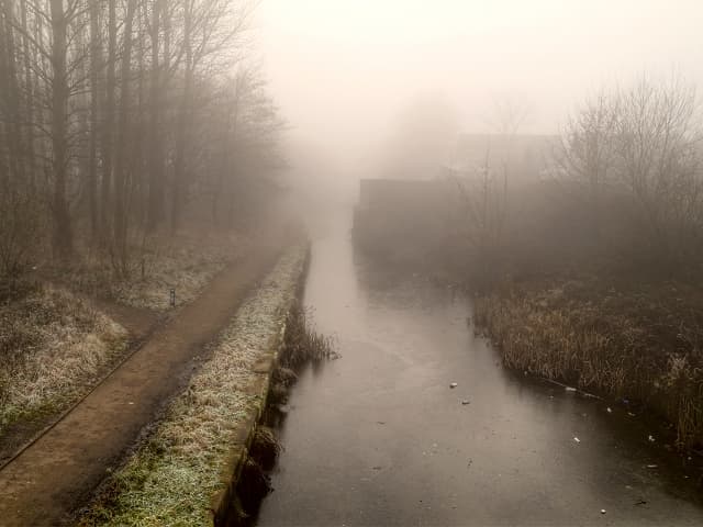 Fog Lights and Foul Deeds