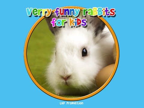 verry funny rabbits for kids - free screenshot 4