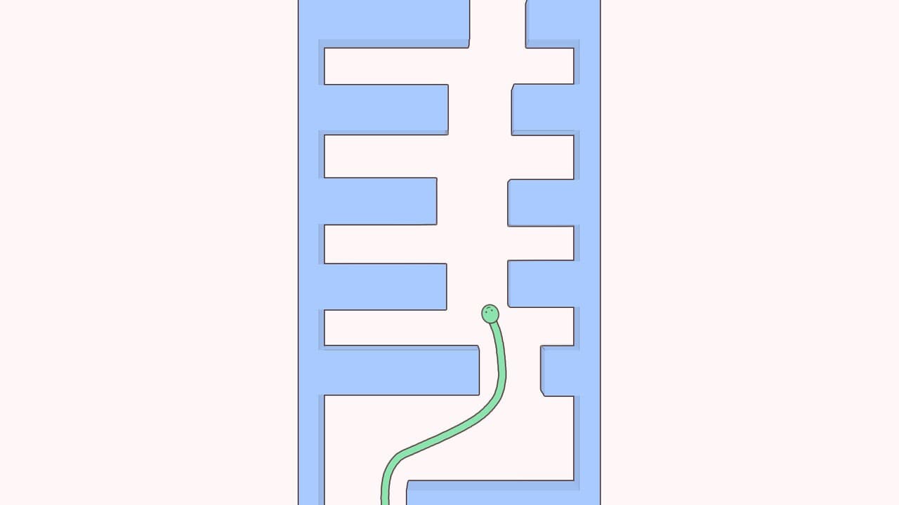 Cute Snake screenshot 2