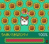Tottoko Hamtaro: Tomodachi Daisakusen Dechu screenshot 3