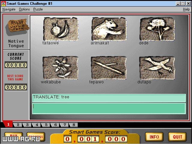 Smart Games Puzzle Challenge