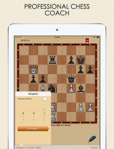 Mate in 3? OK! screenshot 4