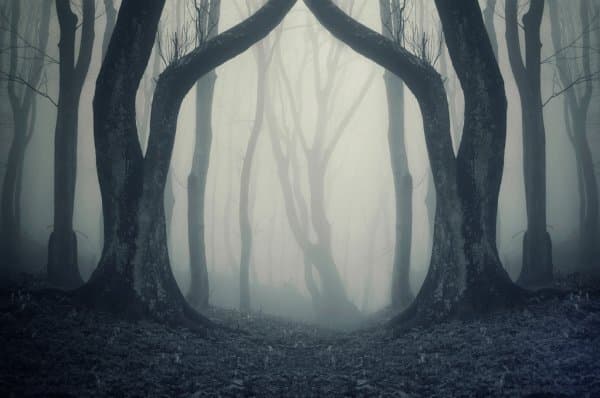 stay, dont wander