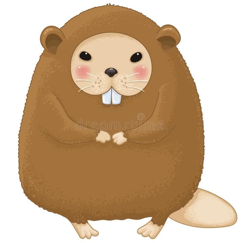 Coypu Chaos (Unfinished)