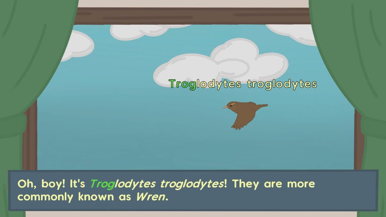 Birdwatching screenshot 2