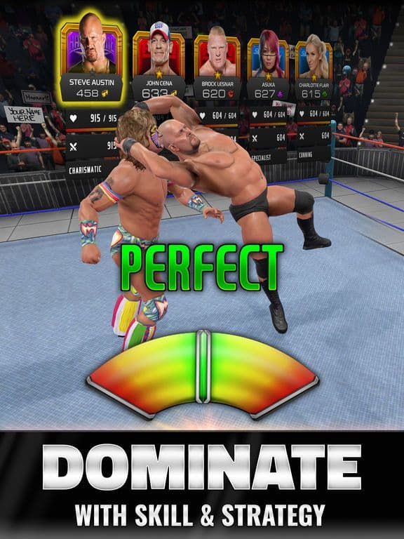 WWE Universe