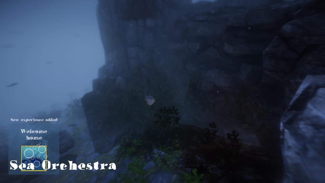 Sea Orchestra