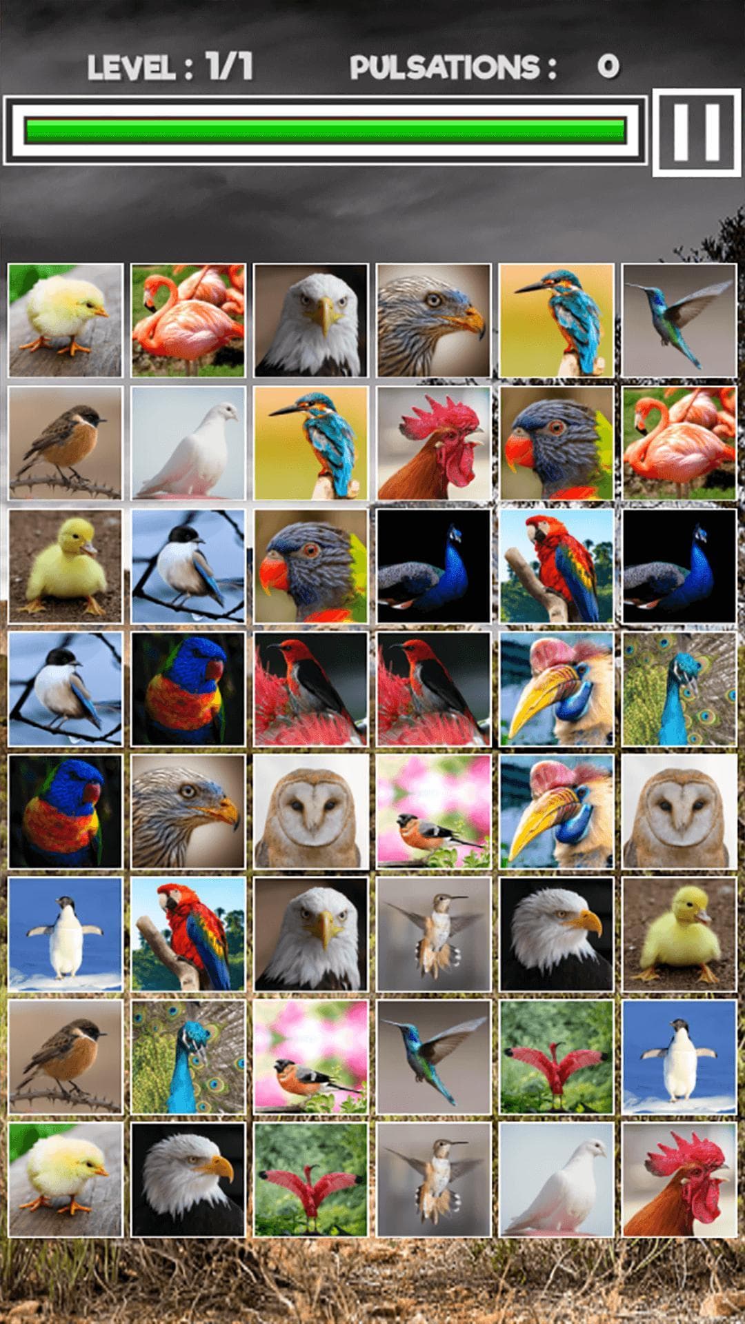 Memory Match Jungle Animals screenshot 5