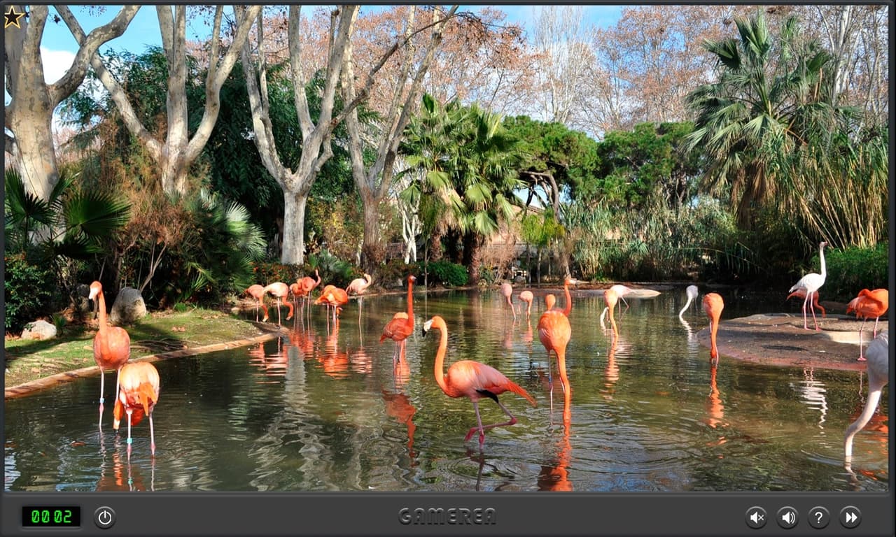 Animals Of Africa screenshot 4
