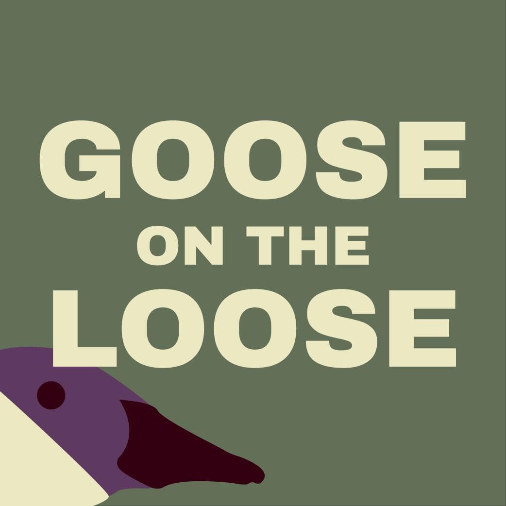 Goose on the Loose (bideogame)