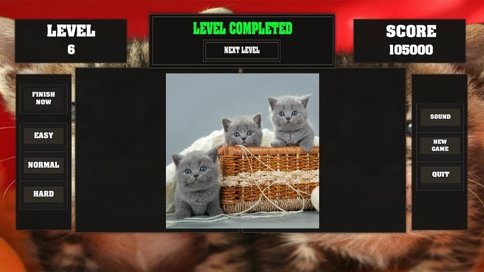Fitzzle Cute Kittens