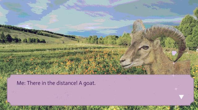Head Over Hooves: My Heart Bleats For You