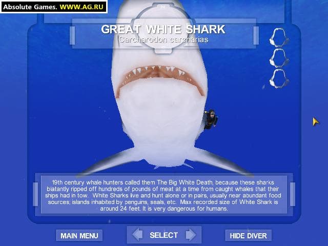 Shark! Hunting the Great White screenshot 5