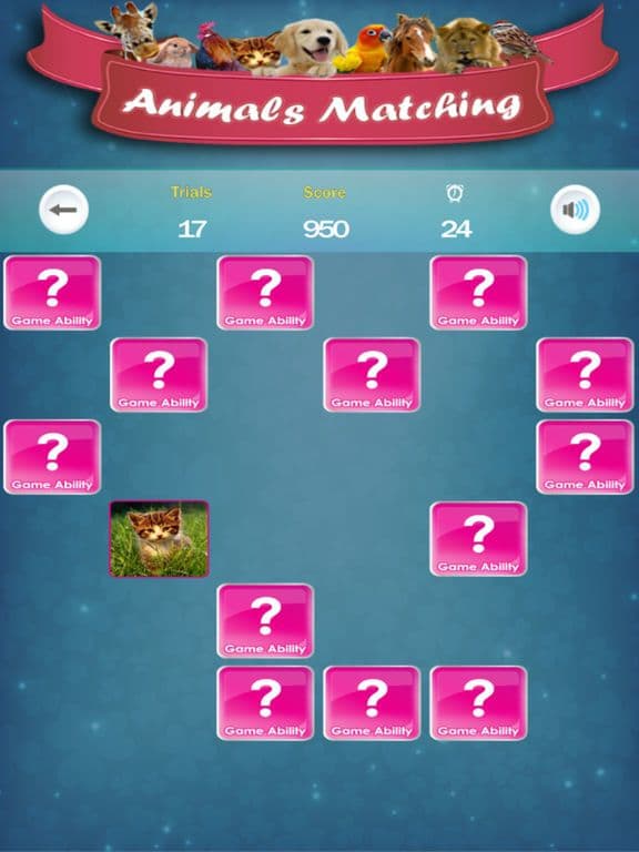 Matching Madness - Animals screenshot 5