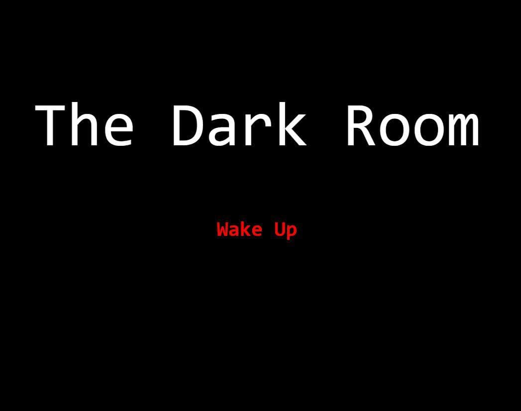 The Dark Room (Hadi Al Haj)