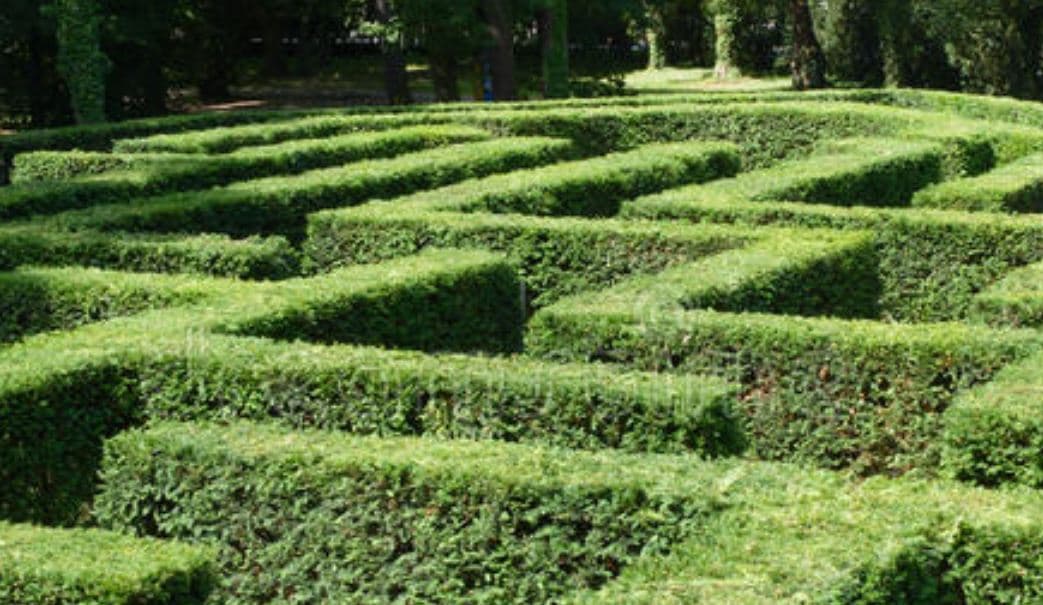 Eternal Maze (itch)