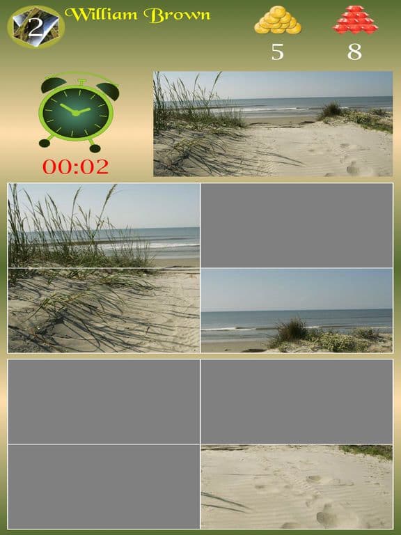 Beautiful Picture Puzzle Z