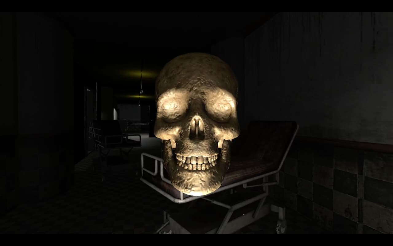 Asylum 7