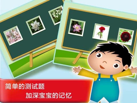 Plant & Flower - Study Chinese Words and Learn Language used in China From Scratch