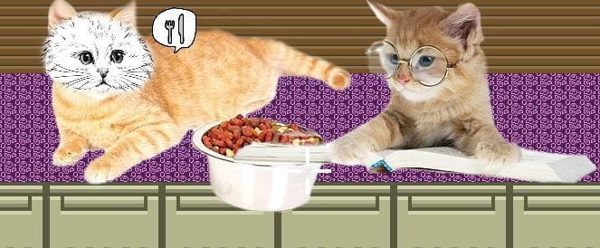 You are a frog shooting birds while cats watch but remain largely uninterested