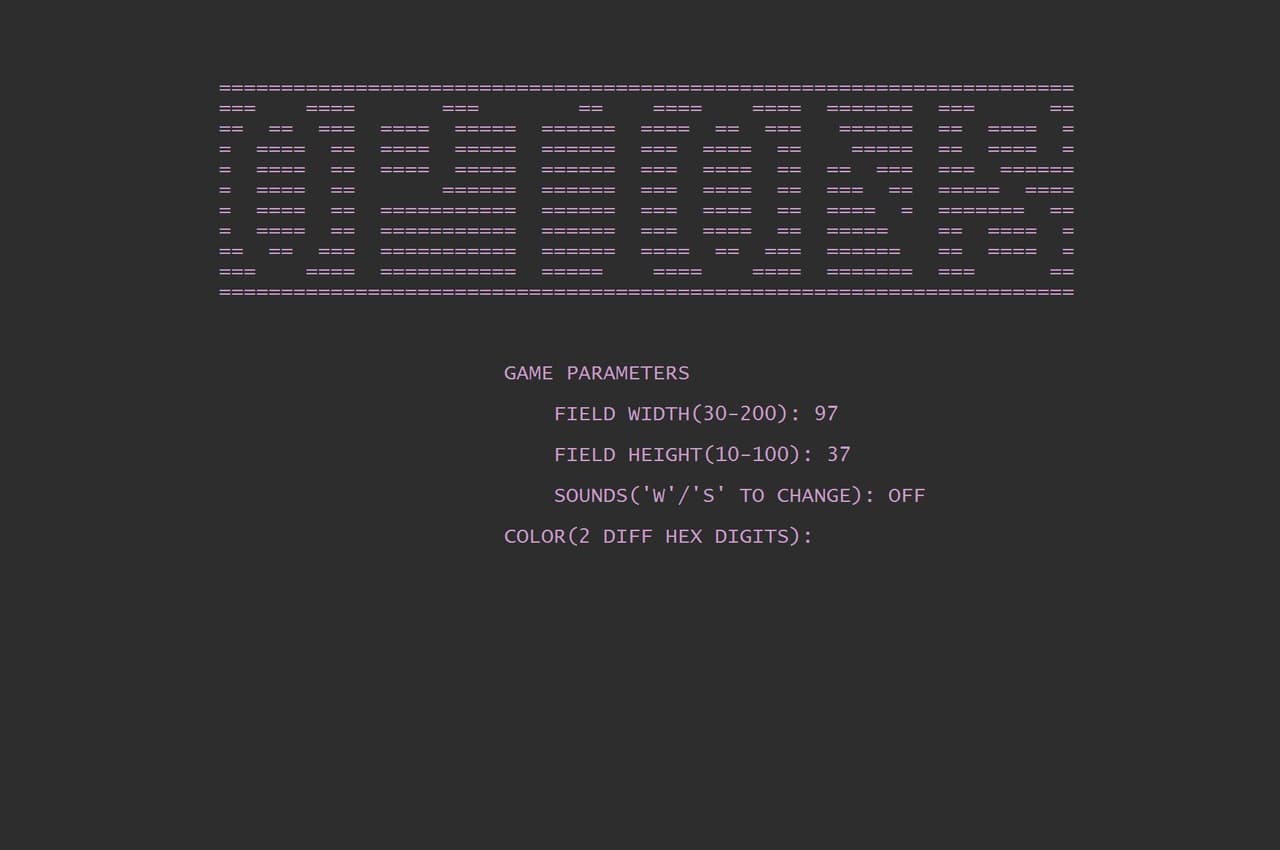 ASCII Pong