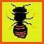 Asian Hornet