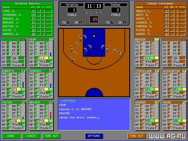 Nothing But Net!: Pro League Basketball