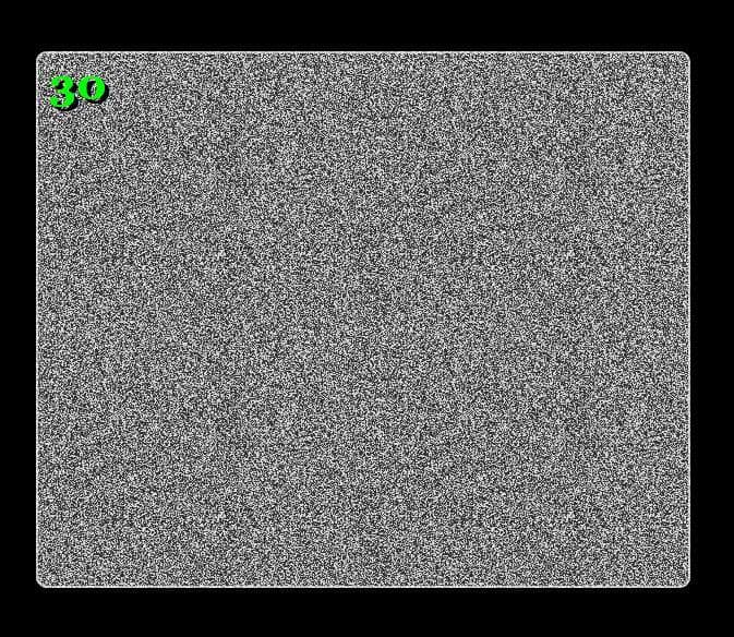 TV (Duck :V)