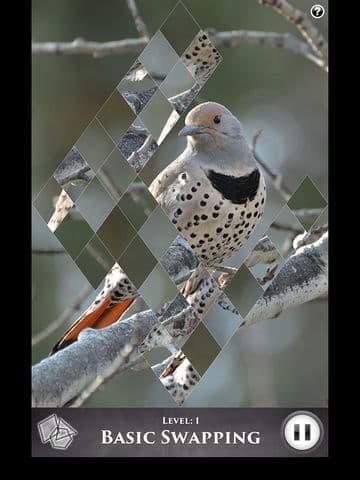 Hidden Scenes - Winter Birding screenshot 3
