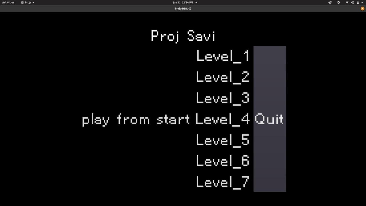 Project Savi